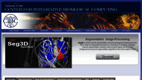 What Seg3d.org website looked like in 2016 (9 years ago)