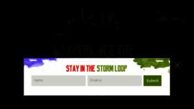 What Stormfestivalindia.com website looked like in 2016 (8 years ago)