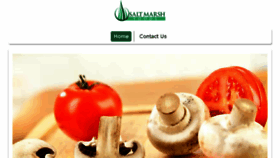 What Saltmarshfoods.com website looked like in 2016 (8 years ago)