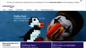 What Seabird.org website looked like in 2016 (8 years ago)