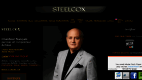 What Steelcox.com website looked like in 2016 (8 years ago)