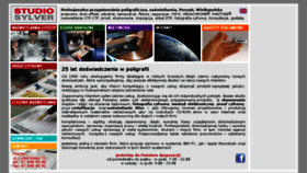 What Sylver.pl website looked like in 2016 (8 years ago)