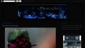What Snowcatcher.net website looked like in 2016 (7 years ago)