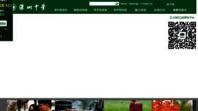 What Shenzhong.net website looked like in 2016 (7 years ago)