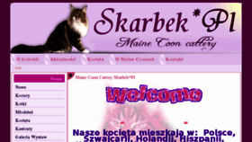 What Skarbekcoon.pl website looked like in 2016 (7 years ago)