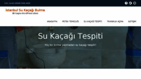 What Sukacagiistanbul.com website looked like in 2016 (7 years ago)