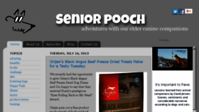 What Seniorpooch.com website looked like in 2016 (7 years ago)