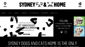 What Sydneydogsandcatshome.org website looked like in 2016 (7 years ago)