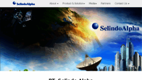 What Selindo.com website looked like in 2016 (7 years ago)