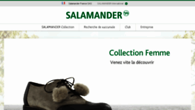 What Salamander.fr website looked like in 2017 (7 years ago)