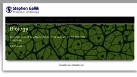 What Stevegallik.org website looked like in 2017 (7 years ago)