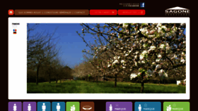 What Sagone-chaussures.com website looked like in 2017 (8 years ago)