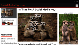 What Socialmediahug.com website looked like in 2017 (6 years ago)