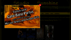 What Sunshine-studio.ch website looked like in 2017 (6 years ago)