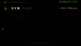 What Synlawn.com website looked like in 2017 (6 years ago)