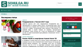 What Schulga.ru website looked like in 2017 (6 years ago)