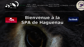 What Spa-haguenau.org website looked like in 2017 (6 years ago)
