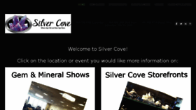 What Silvercove.biz website looked like in 2017 (6 years ago)