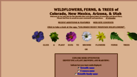 What Swcoloradowildflowers.com website looked like in 2017 (6 years ago)