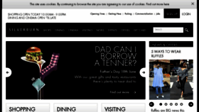 What Shopsilverburn.com website looked like in 2017 (6 years ago)