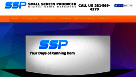 What Smallscreenproducer.com website looked like in 2017 (6 years ago)