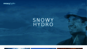 What Snowyhydro.com.au website looked like in 2017 (6 years ago)