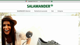 What Salamander.fr website looked like in 2017 (6 years ago)