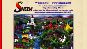 What Sneem.com website looked like in 2017 (8 years ago)