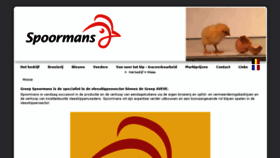 What Spoormans.com website looked like in 2017 (6 years ago)