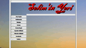 What Seliminyeri.net website looked like in 2017 (6 years ago)