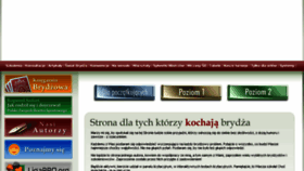 What Szkolabrydza.pl website looked like in 2017 (6 years ago)
