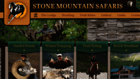 What Stonemountainsafaris.com website looked like in 2017 (6 years ago)