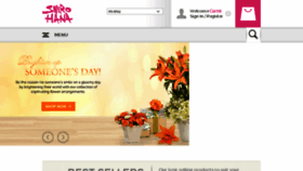 What Shirohanaflowers.com website looked like in 2017 (6 years ago)