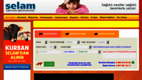 What Selammarket.com.tr website looked like in 2017 (6 years ago)