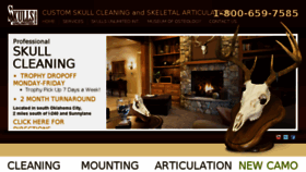 What Skullcleaning.com website looked like in 2017 (6 years ago)