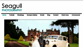 What Seagullphotography.co.uk website looked like in 2017 (6 years ago)