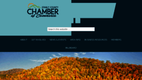 What Stanlychamber.org website looked like in 2017 (6 years ago)