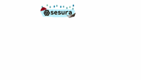 What Sesura.com website looked like in 2017 (6 years ago)
