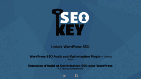 What Seo-key.com website looked like in 2017 (6 years ago)