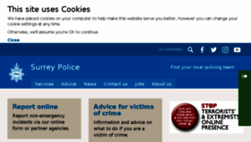 What Surrey.police.uk website looked like in 2017 (6 years ago)