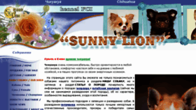What Sunnylion.com website looked like in 2017 (6 years ago)