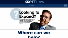 What Skynet-solutions.net website looked like in 2017 (6 years ago)