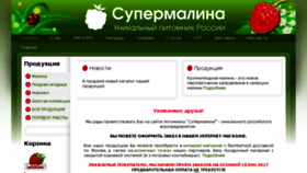 What Supermalina.ru website looked like in 2017 (6 years ago)