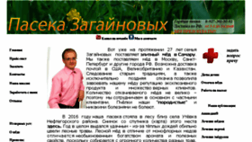 What Sampaseka.ru website looked like in 2017 (7 years ago)