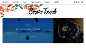 What Seydatoscali.com website looked like in 2017 (6 years ago)
