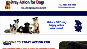 What Strayaction.com website looked like in 2017 (6 years ago)