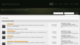 What Sacredcactus.org website looked like in 2017 (6 years ago)