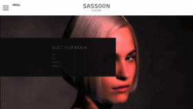 What Sassoon-salon.com website looked like in 2017 (6 years ago)