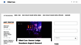 What Sibelcan.net website looked like in 2017 (6 years ago)