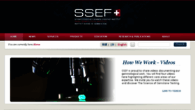 What Ssef.ch website looked like in 2017 (7 years ago)